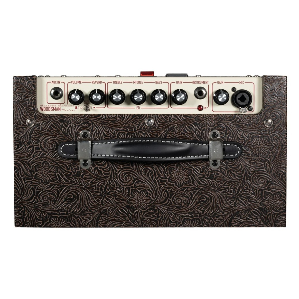 Combo Guitarra Acustica ASHDOWN WOODSMAN 25W - Image 2